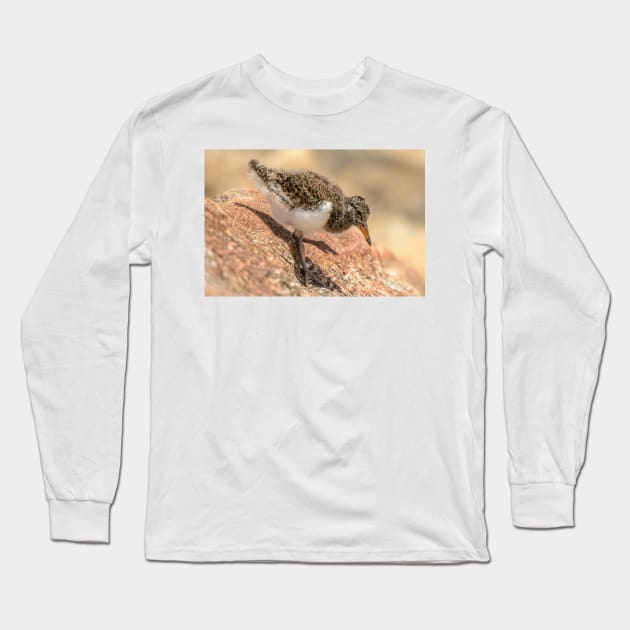 Oystercatcher Chick 02 Long Sleeve T-Shirt by fotoWerner